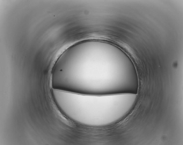 X0000094191371200710260945