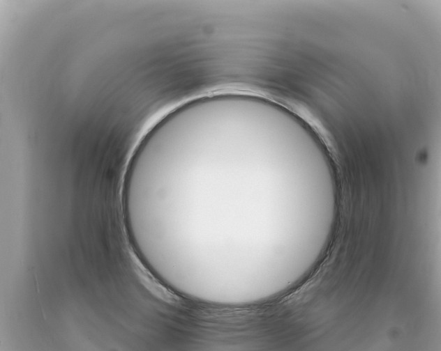 X0000094191372200710260945