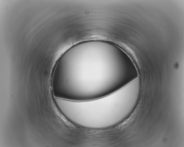 X0000094191373200710260945