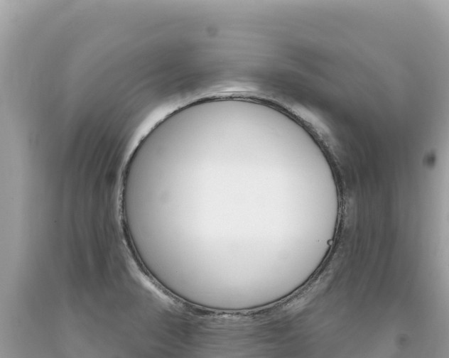 X0000094191374200710260945