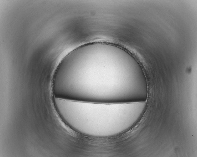 X0000094191375200710260945