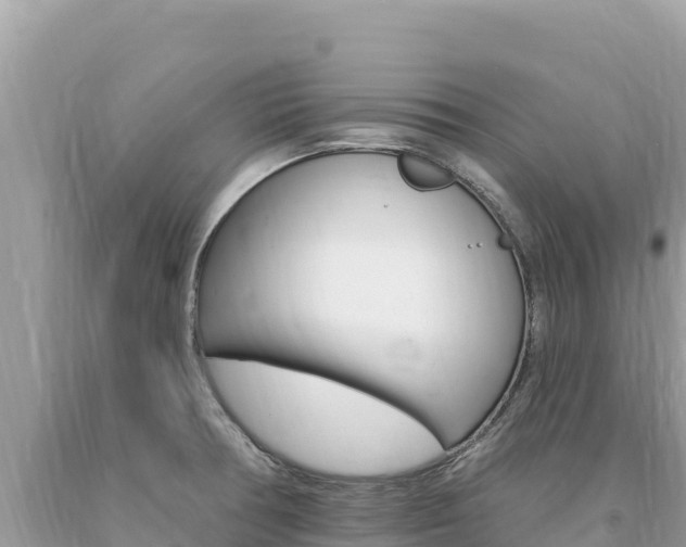 X0000094191378200710260945