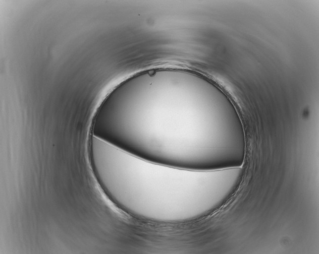 X0000094191379200710260945