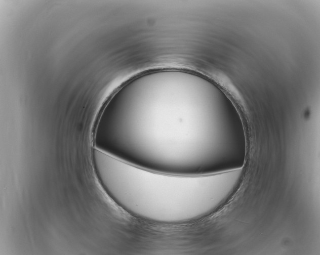 X0000094191380200710260945
