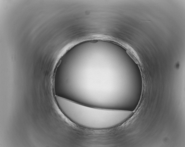 X0000094191381200710260945