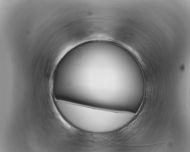 X0000094191383200710260945