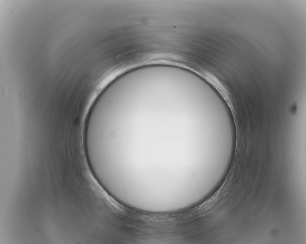 X0000094191384200710260945
