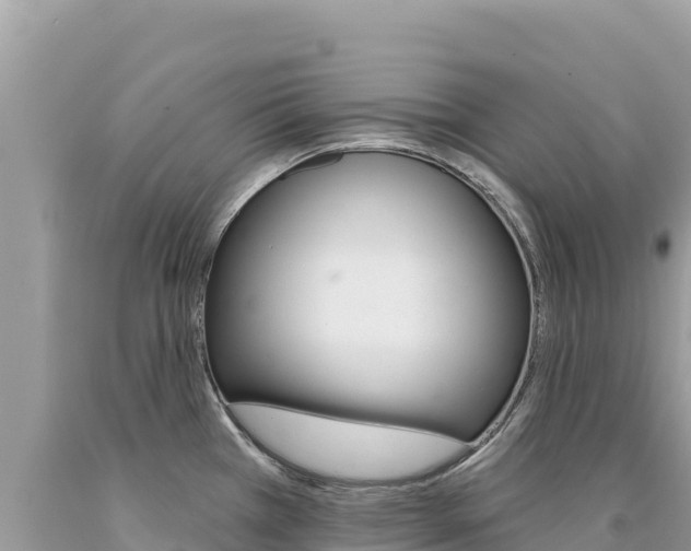 X0000094191385200710260945