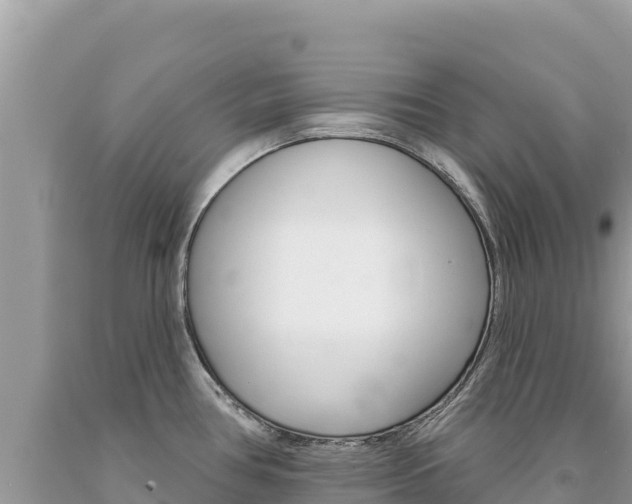 X0000094191386200710260944