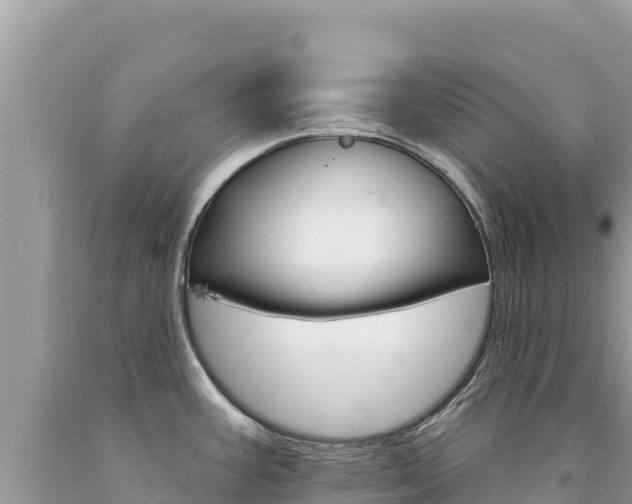 X0000094191387200710260944