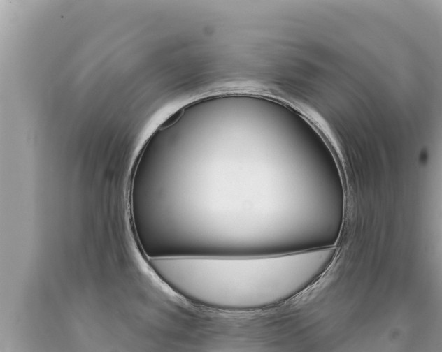 X0000094191389200710260944