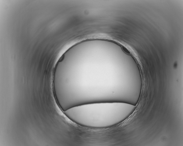 X0000094191390200710260944
