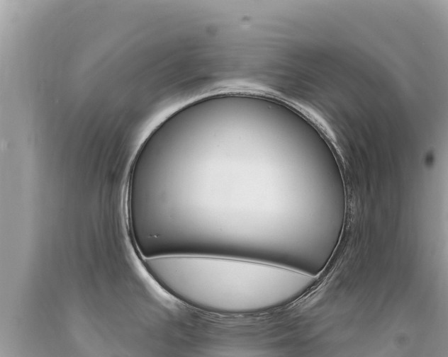 X0000094191391200710260944