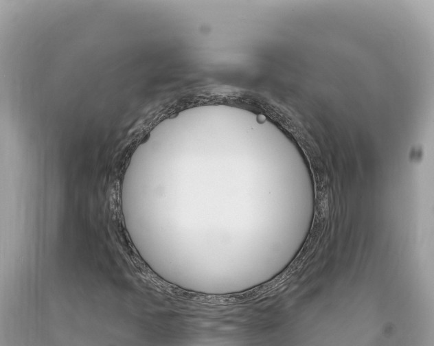 X0000094191397200710260944