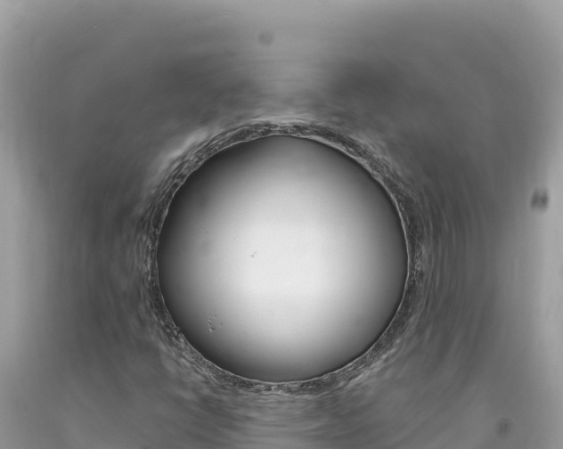 X0000094191398200710260944