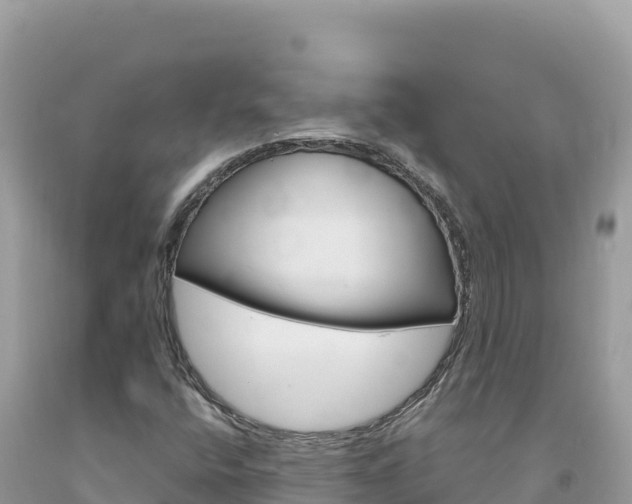 X0000094191400200710260944