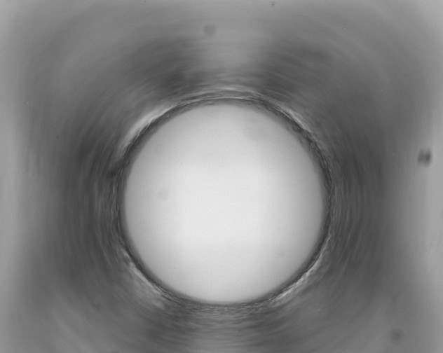 X0000094191402200710260944