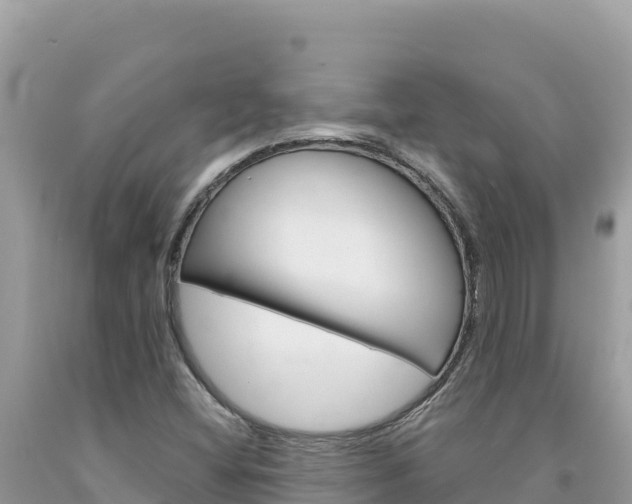 X0000094191404200710260944