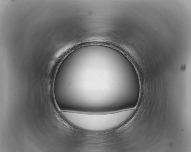 X0000094191406200710260944