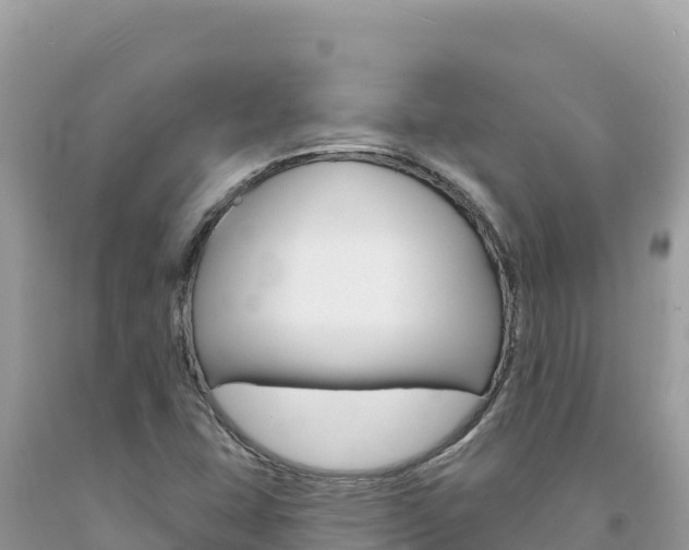 X0000094191407200710260944