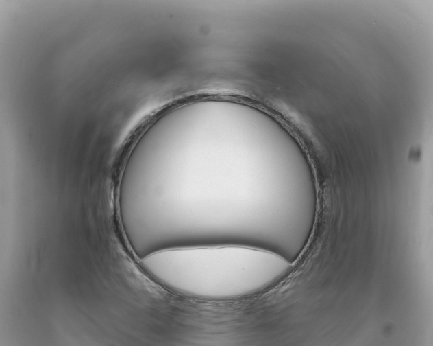 X0000094191408200710260944