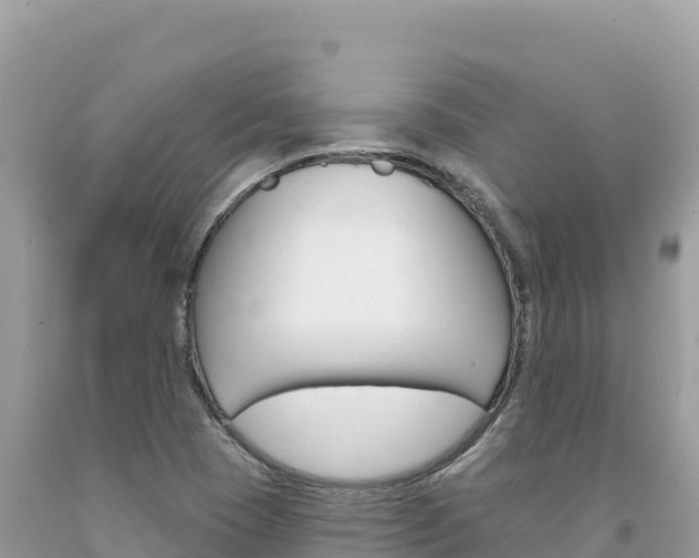 X0000094191409200710260944
