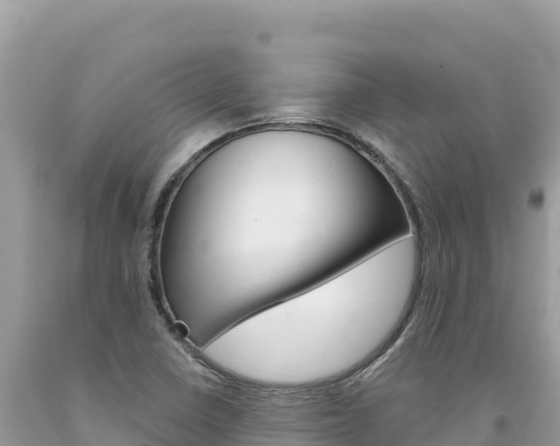 X0000094191410200710260944