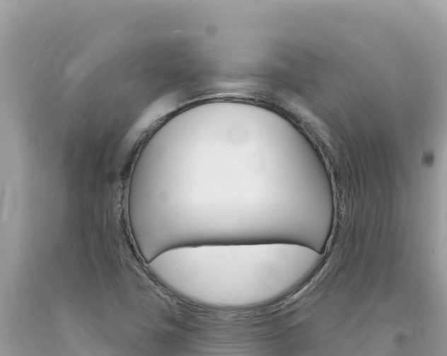 X0000094191411200710260944