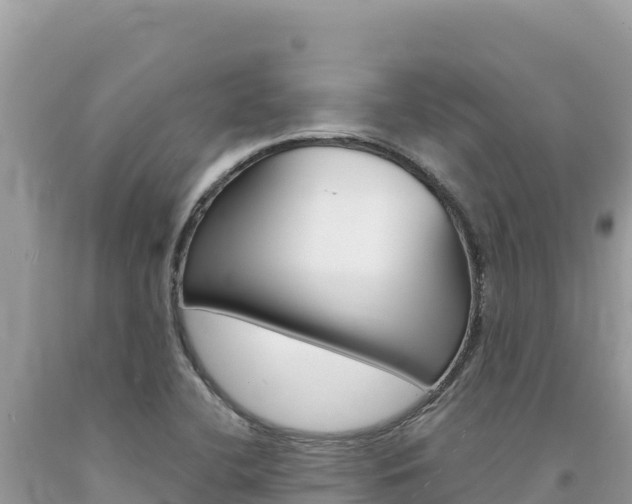 X0000094191412200710260944