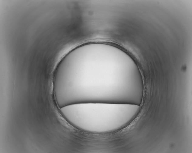 X0000094191413200710260944