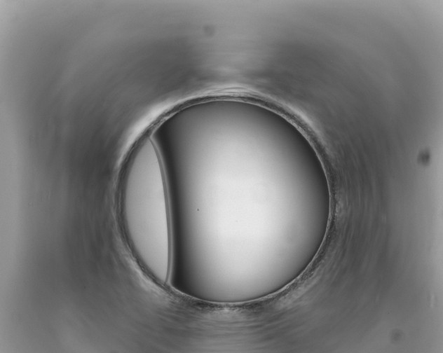 X0000094191414200710260944