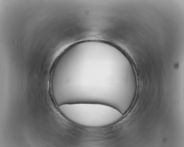 X0000094191415200710260944