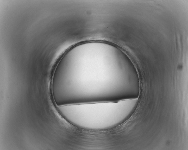 X0000094191416200710260944