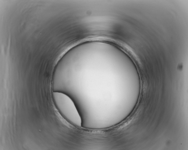 X0000094191417200710260944