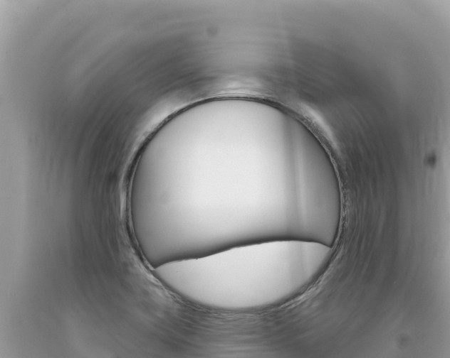 X0000094191419200710260944