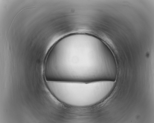 X0000094191420200710260944