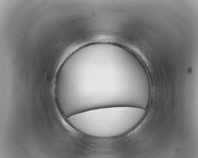 X0000094191421200710260944