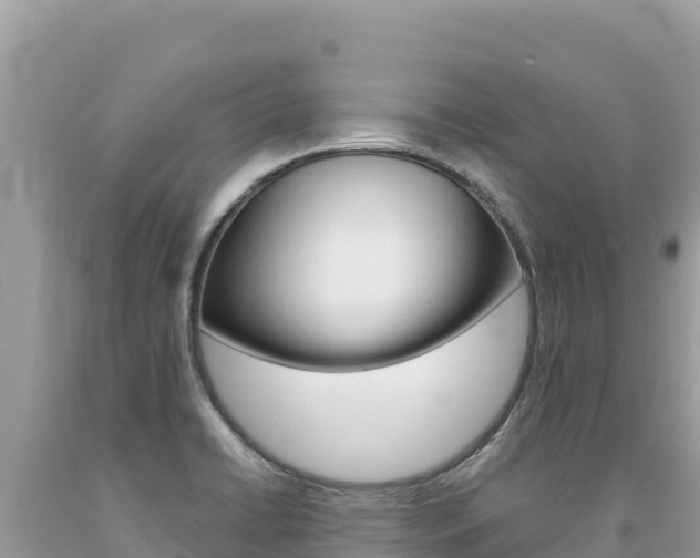 X0000094191422200710260944