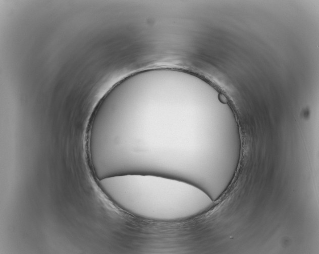 X0000094191423200710260944