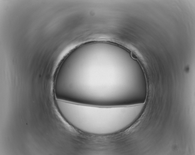 X0000094191424200710260944