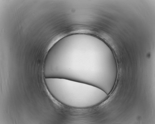 X0000094191425200710260944