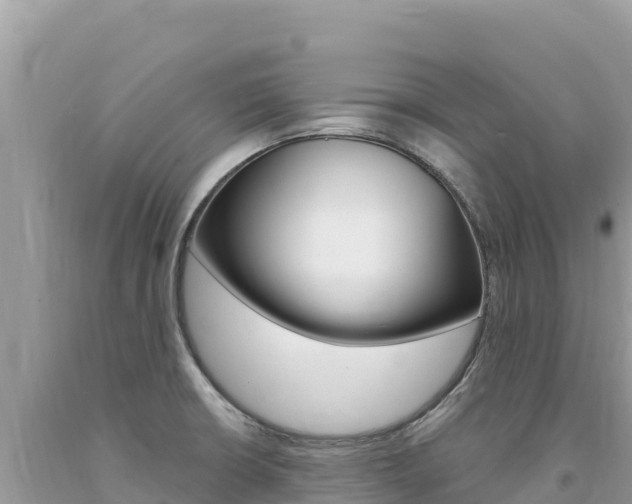 X0000094191426200710260944