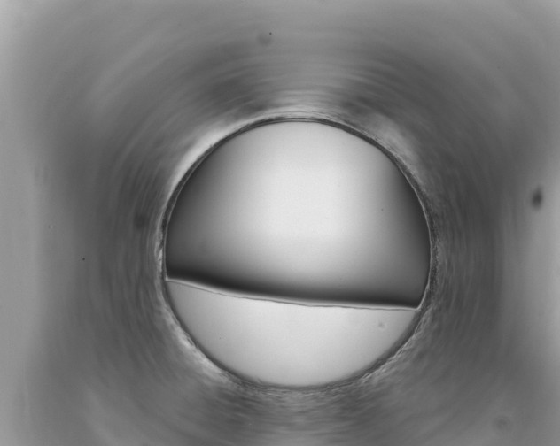X0000094191428200710260944
