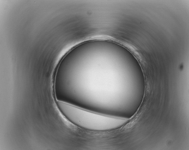 X0000094191430200710260944