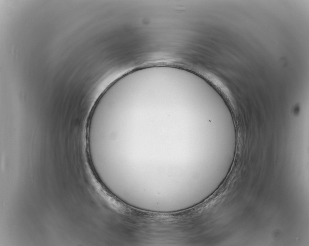 X0000094191431200710260944