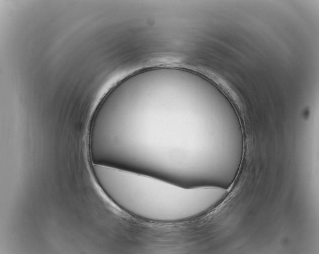 X0000094191432200710260944