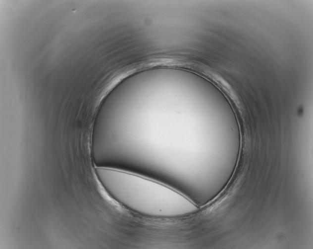 X0000094191433200710260944