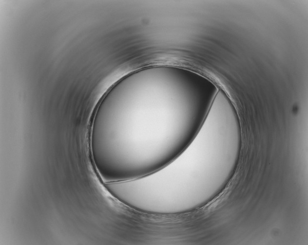 X0000094191434200710260944