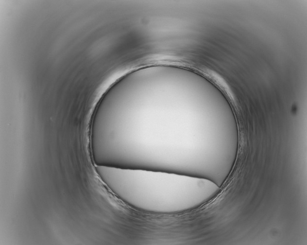 X0000094191435200710260944