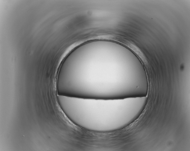 X0000094191436200710260944